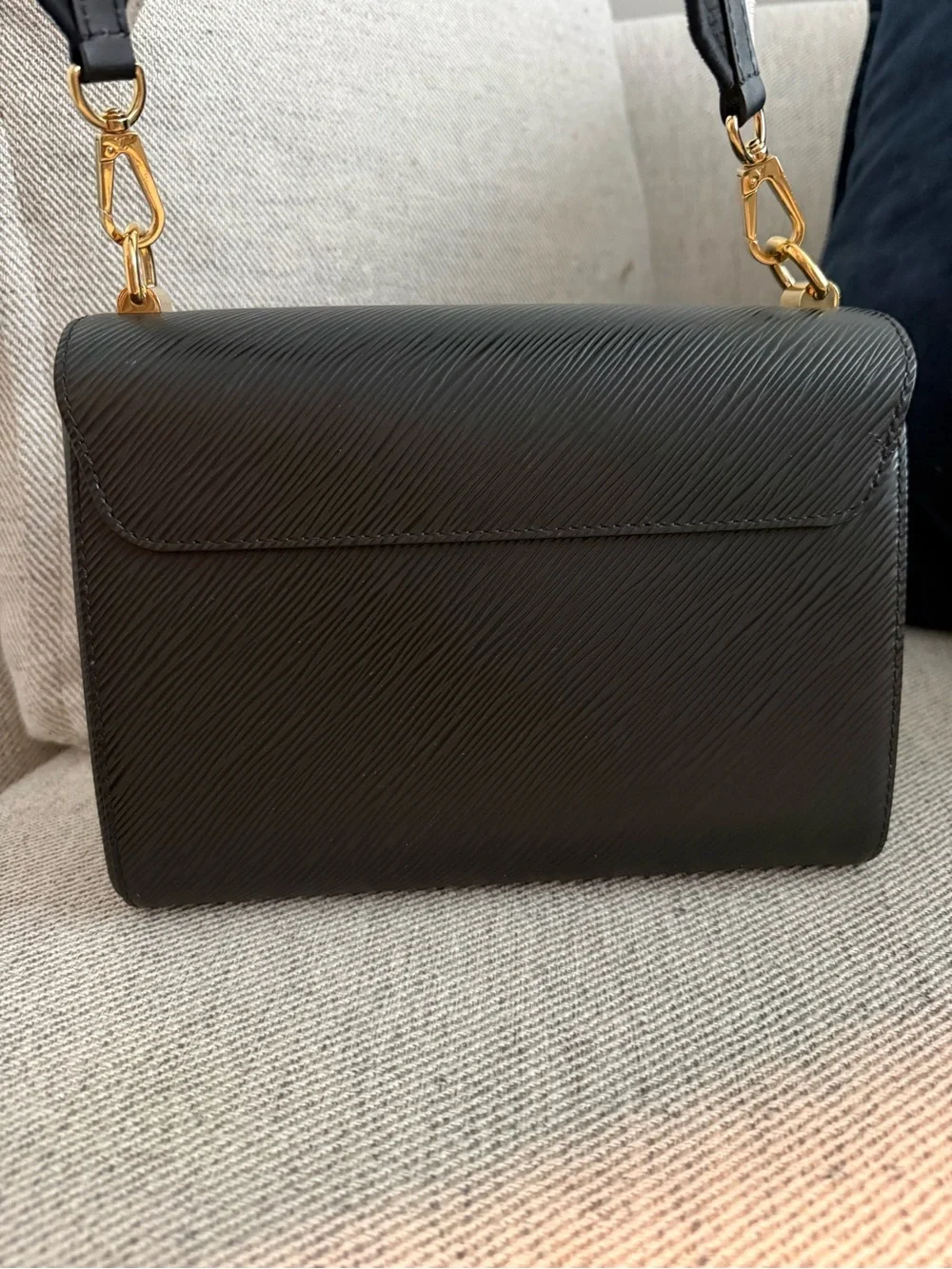 Louis Vuitton lv epi